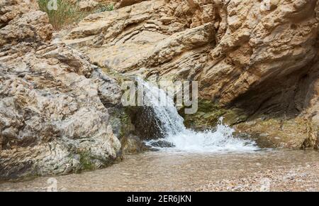 una piccola cascata alimentata a molla si schianta attraverso una stretta apertura Nel wadi roccioso Nahal Bokek letto canyon vicino Il Mar Morto Foto Stock