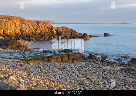 La luce del sole dorata del mattino presto illumina le scogliere e gli affioramenti calcarei a Trow Rocks sulla costa del Mare del Nord a South Shields in Tyne and Wear. Foto Stock