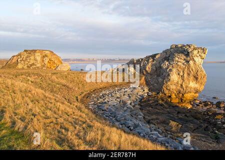 La luce del sole dorata del mattino presto illumina le scogliere e gli affioramenti calcarei a Trow Rocks sulla costa del Mare del Nord a South Shields in Tyne and Wear. Foto Stock