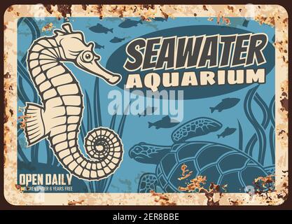 Acquario o oceanarium metallo piatto arrugginito, vita marina o acqua di mare e mondo sottomarino, vettore retro poster. Selvaggi, animali marini e oceanici, pesci, Illustrazione Vettoriale