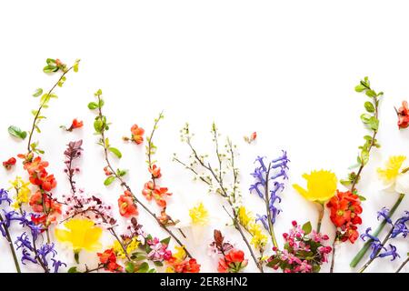 Fiori di Primavera su sfondo bianco Foto Stock