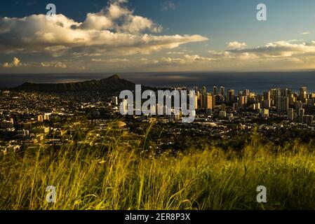 Vista della destinazione turistica di Waikiki con alti edifici e condomini dal punto di osservazione al Monte Tantalus nel Parco Statale di Puu Ualakaa, Oahu, Honolulu, Hawaii, USA Foto Stock