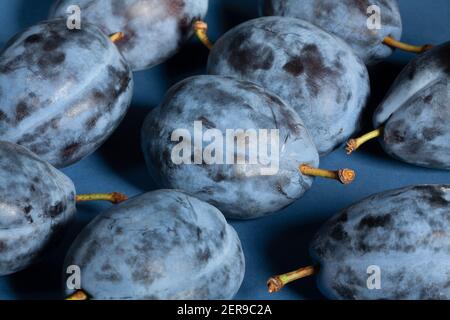 prugne blu su sfondo blu Foto Stock