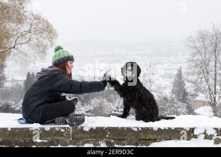 Stoccarda, Germania, 2021-02-10, un cane labradoodle nero e il suo proprietario si siedono su un muro, godersi la neve fresca, dare alto cinque Foto Stock