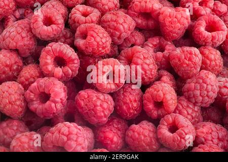 dettaglio macro raspberry group Foto Stock