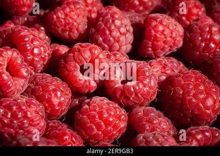 dettaglio macro raspberry group Foto Stock