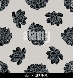 Motivo senza cuciture con echeveria succulente stilizzata disegnata a mano Illustrazione Vettoriale