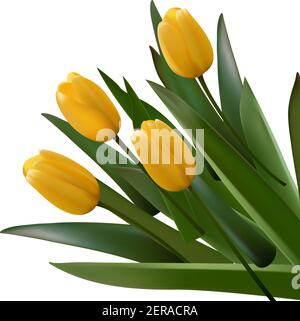Bouquet di fiori. Mazzo di tulipani gialli con foglie. Poster del biglietto d'auguri vettoriale realistico. Illustrazione grafica. Regalo speciale Illustrazione Vettoriale