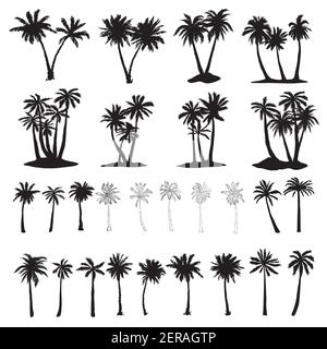Set di icone di palme silhouette nere isolate palme tropicali . Illustrazione Vettoriale