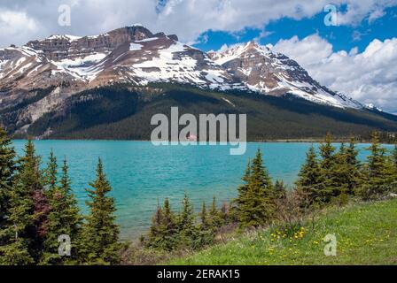 Parzialmente innevato „Monte Jimmy Simpson si erge sul lago „Bow, con la storica „Num-ti-Jah Lodge" sulla riva lontana all'inizio dell'estate Foto Stock