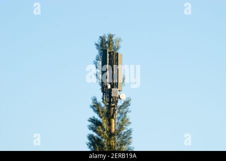 Cellulare cellulare cellulare torre celato come un albero nel tentativo di mescolarsi con la natura circostante, Inghilterra, Regno Unito Foto Stock