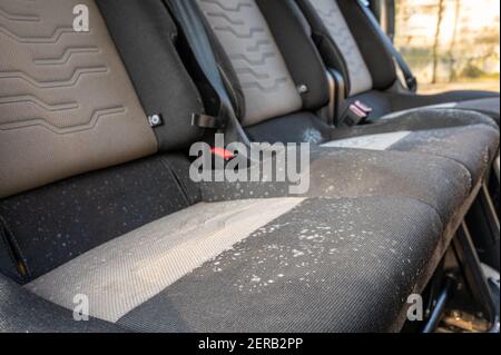 Stampo e fungo su una fila di sedili auto che sono rimasti inutilizzati per diversi mesi Foto Stock