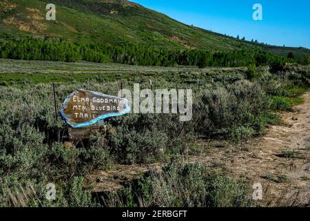 Elma Goodman Mountain Bluebird Trail lungo la Bennett Mountain Road nella contea di Elmore, Stati Uniti Foto Stock