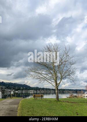 Il Lake Sammamish state Park è un parco situato all'estremità meridionale del lago Sammamish, nella contea di King, Washington, Stati Uniti. Il parco è amministrato dalla WAS Foto Stock