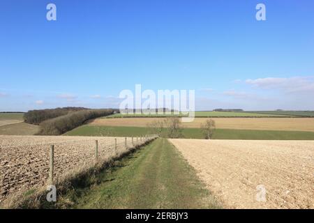 Una pista erbosa attraverso i campi arabili arati del Scenic Yorkshire wolds nel mese di febbraio Foto Stock