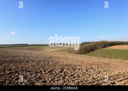 Modelli e texture di un campo arato nel patchwork Paesaggio della scenografica Yorkshire wolds nel mese di febbraio Foto Stock