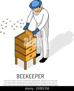Apicoltore in indumenti protettivi durante il lavoro con alveare su immagine vettoriale isometrica su sfondo bianco Illustrazione Vettoriale