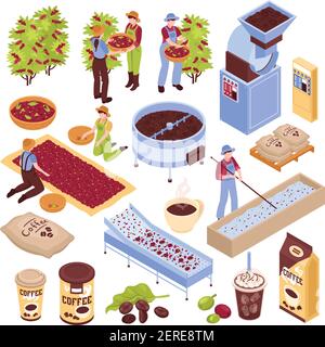 Set isometrico per la produzione di caffè con immagini isolate che rappresentano diversi stadi di produzione di fagioli di caffè con illustrazione del vettore della gente Illustrazione Vettoriale