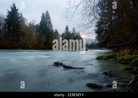 Riva del fiume Queets, foresta pluviale di Queets, Olympic National Park, Jefferson County, Washington, STATI UNITI Foto Stock