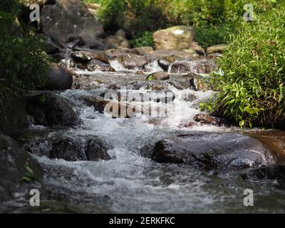 primo piano della foto del flusso d'acqua nel fiume Foto Stock
