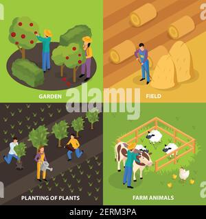 Il concetto di design isometrico 2x2 della vita degli agricoltori ordinari con esterni colorati illustrazione vettoriale delle composizioni delle attività domestiche e agricole Illustrazione Vettoriale