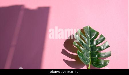 Foglie verdi tropicali con ombra su sfondo rosa. Design o concetto di sfondo. Foto Stock