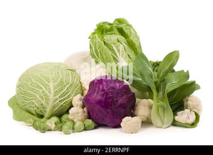 Mix di cavoli su sfondo bianco: Cavolo bianco, cavolo rosso, cavolo sabaudo, cavolo romano Foto Stock