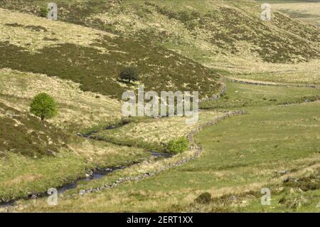 West Dart River che scorre attraverso la valle Dartmoor National Park Devon, Regno Unito LA000155 Foto Stock