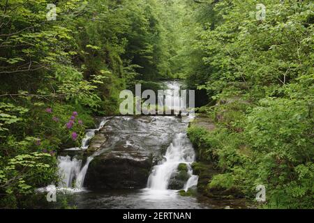 WarerFalls at WatersmeetEast Lyn River Exmoor National Park Devon UK LA000407 Foto Stock