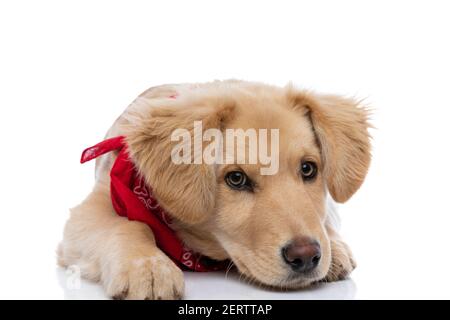 Close up bandana intorno al giovane uomo ispanico il collo Foto stock -  Alamy