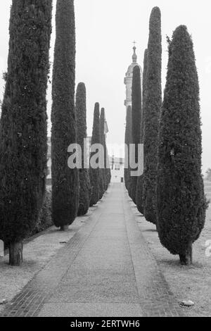 Passerella con cipresso e Parrocchia di Sant'Abbondio a Montagnola in Ticino, Svizzera. Foto Stock