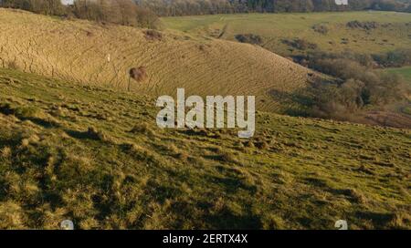 Vista dall'alto del versante orientale di Martin, Wiltshire, North Wessex Downs AONBsell Hill Fort a Pewsey vale vicino a Marlborough, Wiltshire Foto Stock