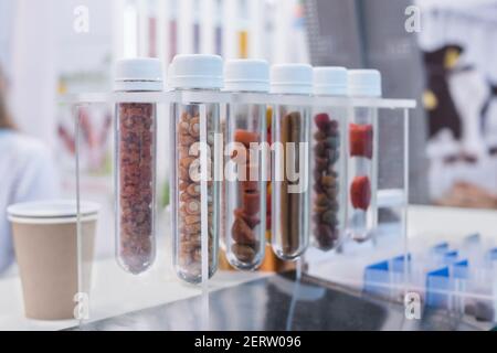 Diversi tipi di mangime composto pellettizzato, foraggio - cibo per animali domestici Foto Stock