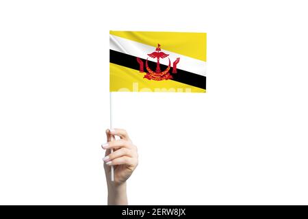 Bella mano femminile che tiene bandiera Brunei, isolato su sfondo bianco. Foto Stock