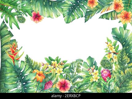 Cornice quadrata con rami viola Protea fiori, plumeria, ibisco e piante tropicali. Pittura ad acquerello disegnata a mano su sfondo bianco. Foto Stock