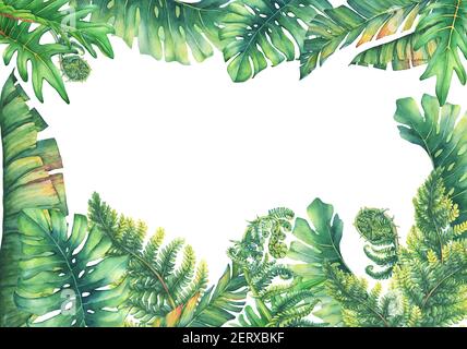 Cornice quadrata con rami piante tropicali. Pittura ad acquerello disegnata a mano su sfondo bianco. Foto Stock