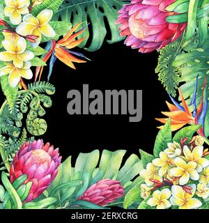 Cornice quadrata con rami viola Protea fiori, plumeria, strelitzia e piante tropicali. Pittura ad acquerello disegnata a mano su sfondo nero. Foto Stock