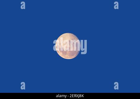 Luna super piena che risplende su sfondo blu cielo scuro Foto Stock