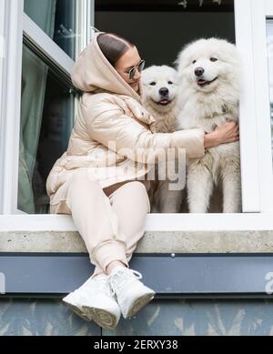 Una giovane bella bruna è seduta sul davanzale nella finestra di una casa con due simpatici samoyeds. Foto Stock