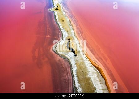 Vista astratta dell'acqua salata del lago rosa dal drone. Concetto creativo di colore naturale. Sfondo della vista superiore Foto Stock