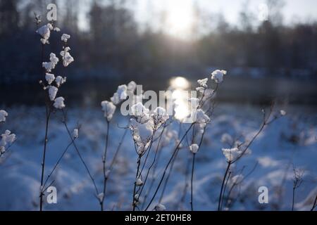 Paese delle meraviglie invernali ad Amburgo-Bergedorf Foto Stock