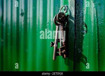 mazzo di vecchie chiavi di casa arrugginite appese su vernice verde parete metallica corrugata Foto Stock