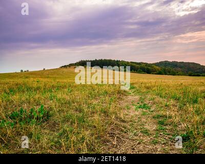 Un sentiero su un prato che conduce a una foresta in la distanza su una collina Foto Stock