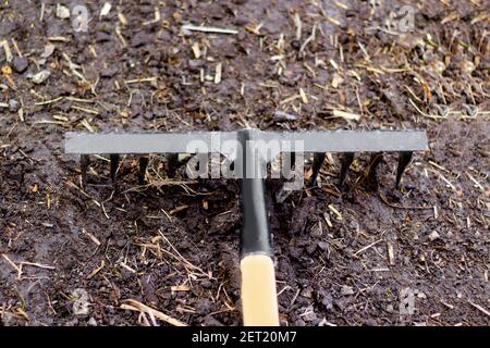 Vista dall'alto del giardino rastrello. Rastrello di metallo nero è tirato attraverso suolo asciutto pronto per piantare. Rastrello vecchio su un letto di giardino. Pulizia di molla. Erba sintetica, erba secca Foto Stock