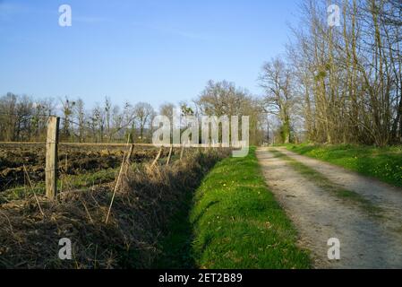 strada rurale retroilluminata che si snoda attraverso campi arati Foto Stock