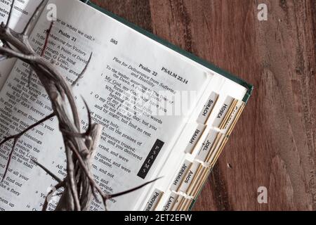 Primo piano della corona di spine sulla bibbia aperta su sfondo di legno scuro Foto Stock