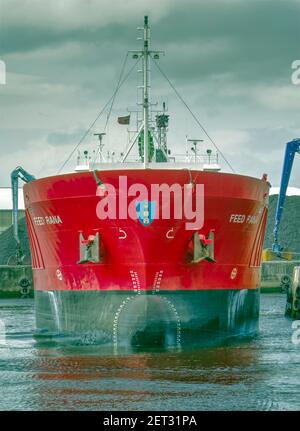 fronte sul colpo dell'arco alto di una nave da carico senza carico che mostra la sua lampadina sporgente sotto il galleggiamento. Visto in Ayr Harbour, Ayr, Scozia, Regno Unito Foto Stock