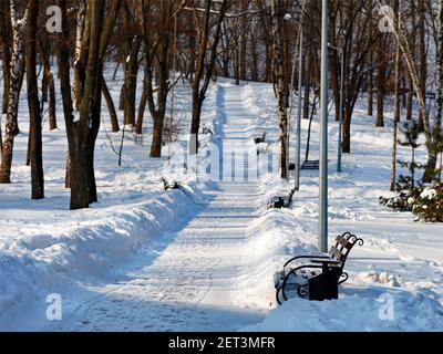 Parco invernale, panchine in legno in rondate di neve lungo un sentiero sgombrato nella neve in un parco in una giornata di sole. Foto Stock