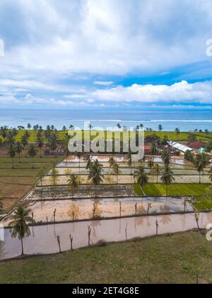 Campi di riso allagati dalla spiaggia di Torok, Lombok, Indonesia Foto Stock