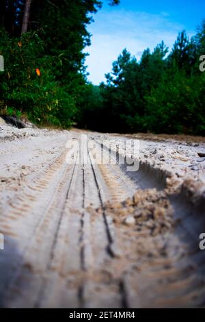 Battistrada della ruota su una strada sabbiosa nella foresta. Coprire il percorso di pneumatici sporchi sul pavimento. Sfondo fuoristrada. Foto Stock